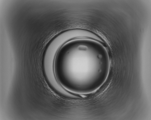 X0000116800577200912241203