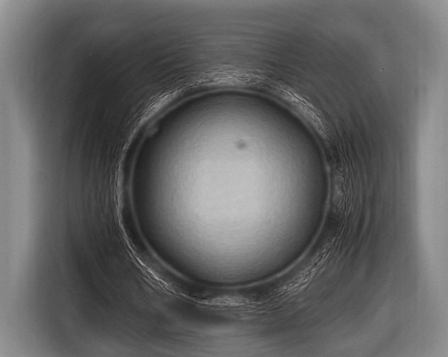 X0000116800578200912241203