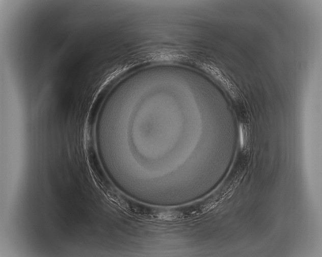 X0000116800579200912241203