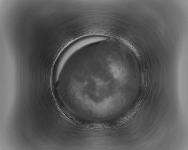 X0000116800580200912241203