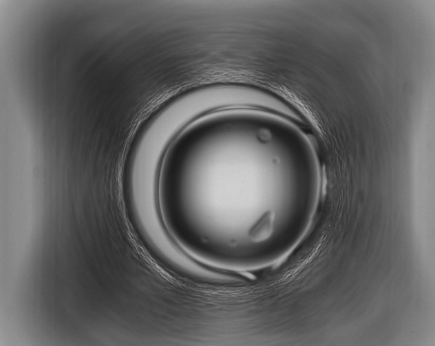 X0000116800581200912241203