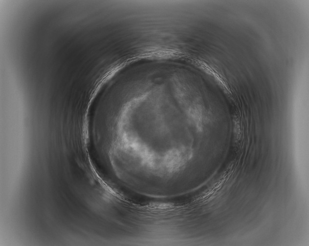 X0000116800582200912241203