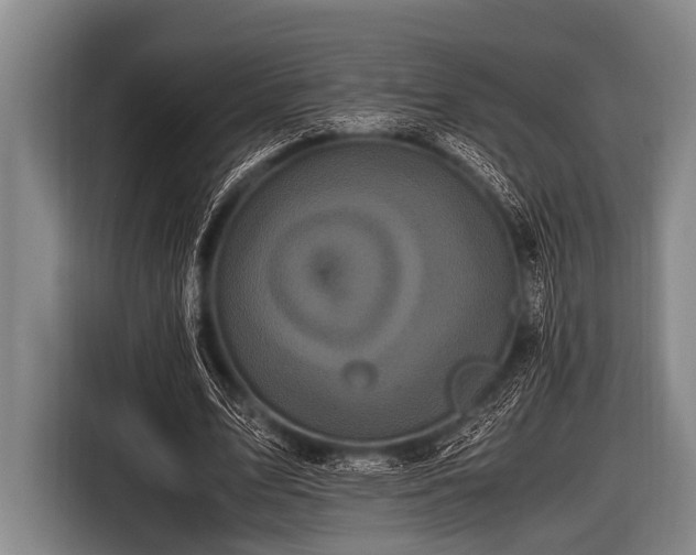 X0000116800583200912241203