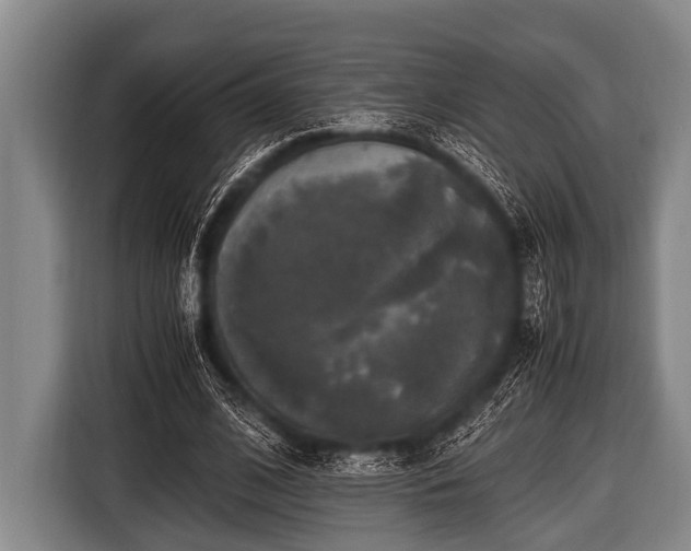 X0000116800584200912241203