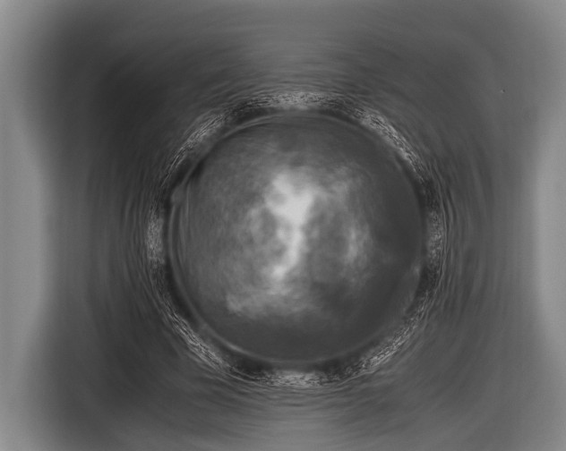 X0000116800585200912241203