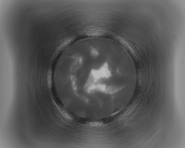 X0000116800586200912241203