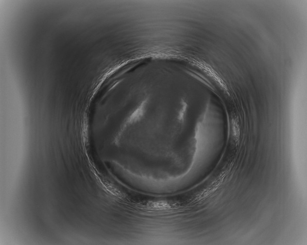 X0000116800588200912241203