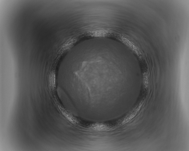 X0000116800589200912241203