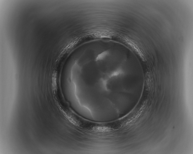 X0000116800590200912241203