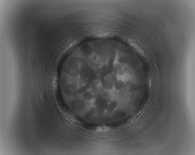 X0000116800591200912241203