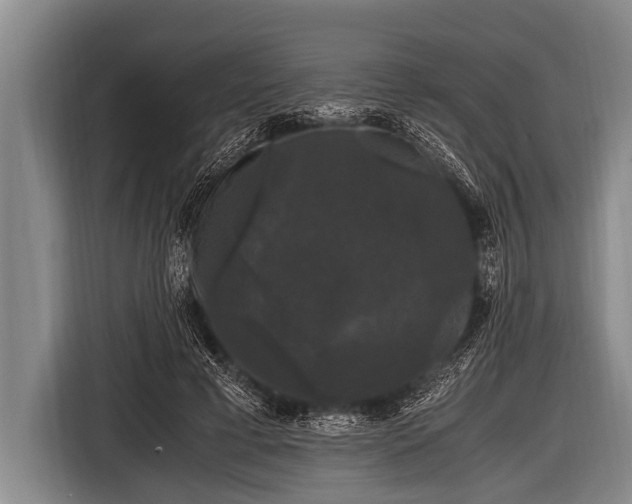 X0000116800593200912241203