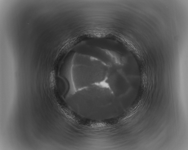 X0000116800594200912241203