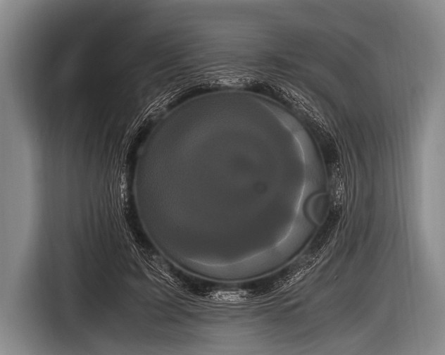 X0000116800595200912241203