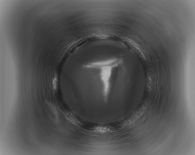 X0000116800596200912241203