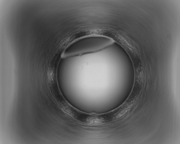 X0000116800597200912241203