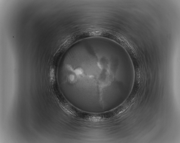 X0000116800598200912241203