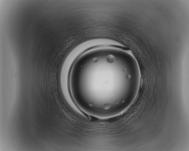 X0000116800599200912241203