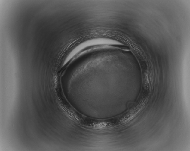 X0000116800600200912241203