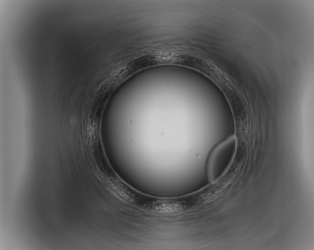 X0000116800601200912241203