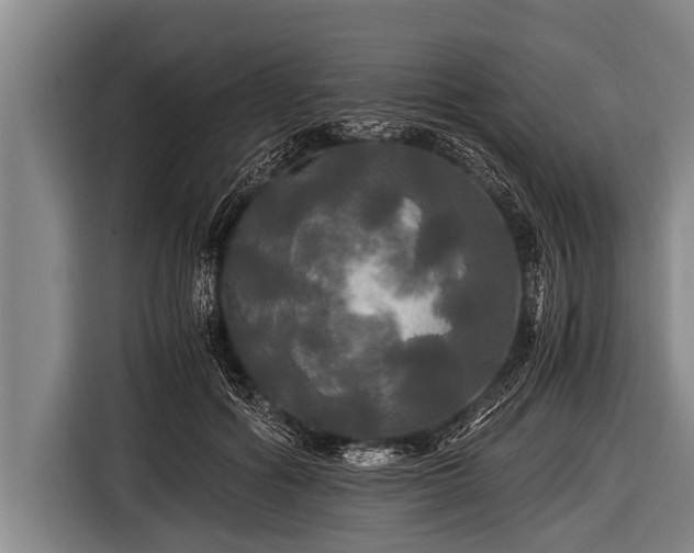 X0000116800602200912241203