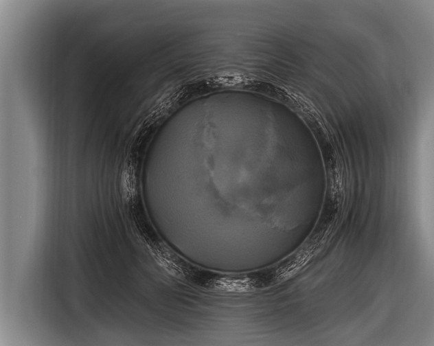 X0000116800606200912241202