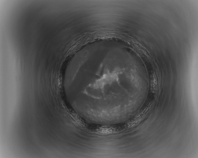 X0000116800608200912241202