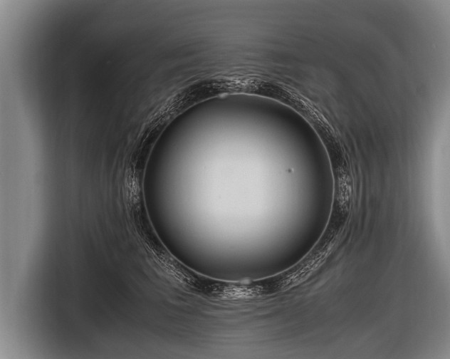 X0000116800613200912241202