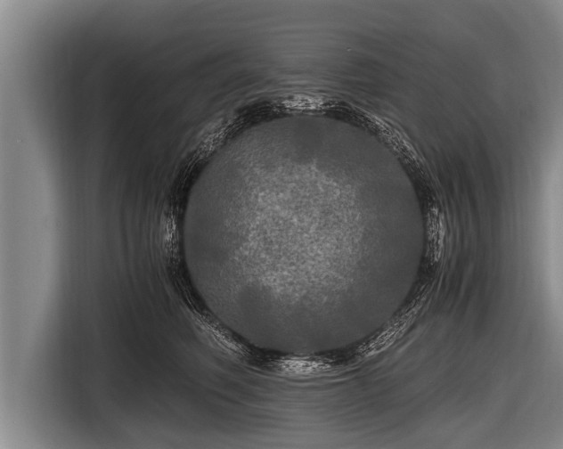 X0000116800614200912241202