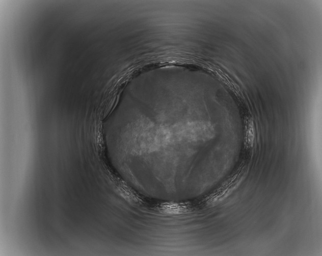 X0000116800616200912241202