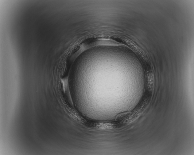 X0000116800617200912241202