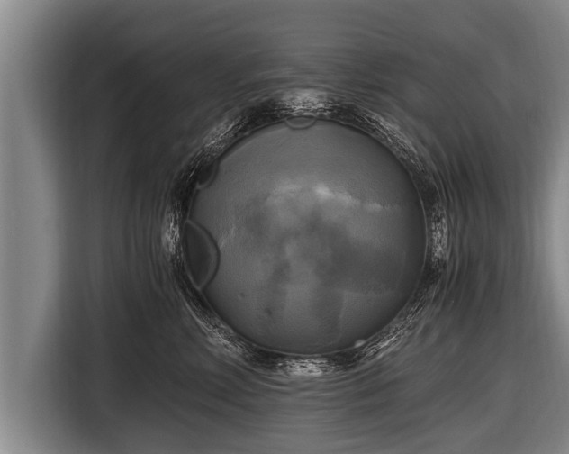 X0000116800618200912241202