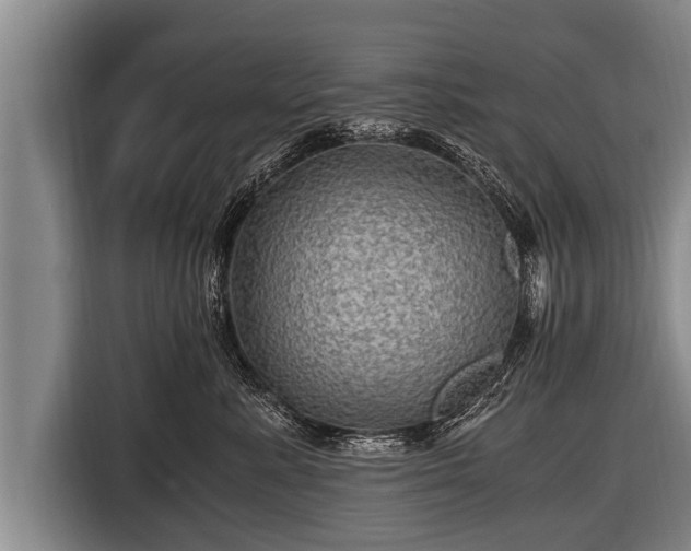 X0000116800619200912241202