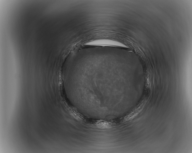 X0000116800620200912241202