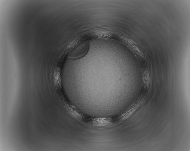 X0000116800622200912241202