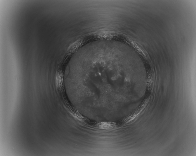 X0000116800623200912241202