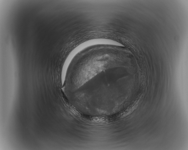 X0000116800624200912241202