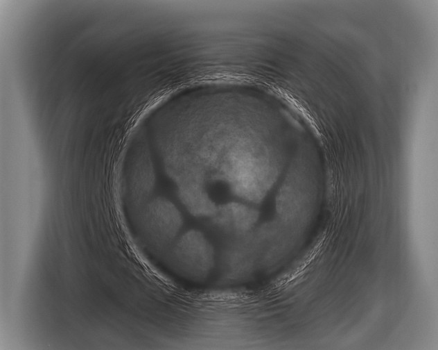 X0000116800625200912241202