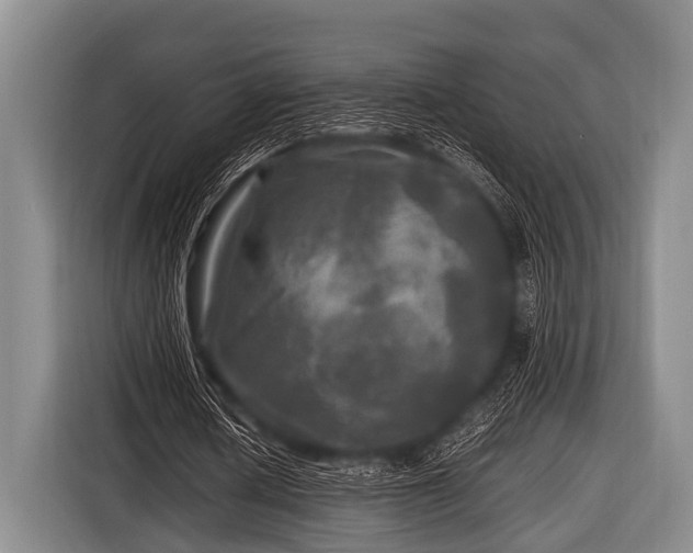 X0000116800626200912241202