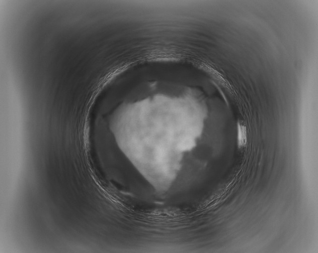 X0000116800627200912241202