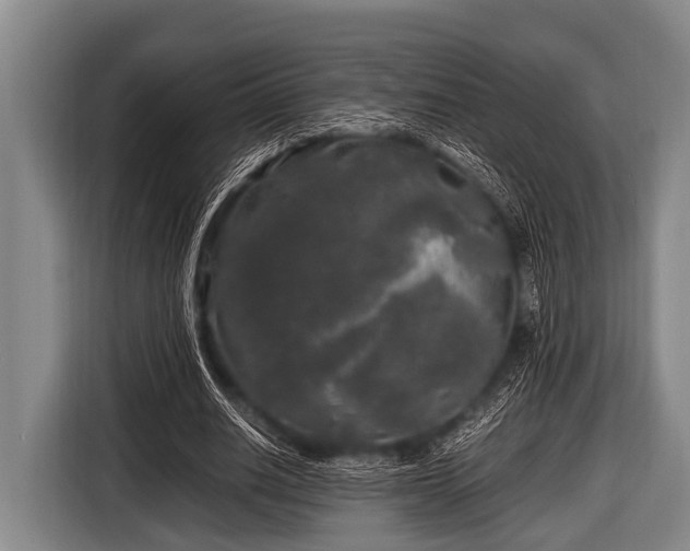 X0000116800630200912241202