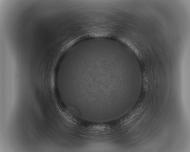 X0000116800631200912241202