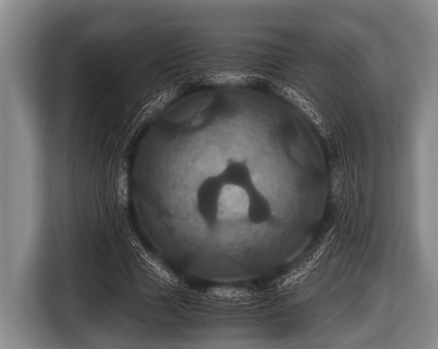 X0000116800633200912241202