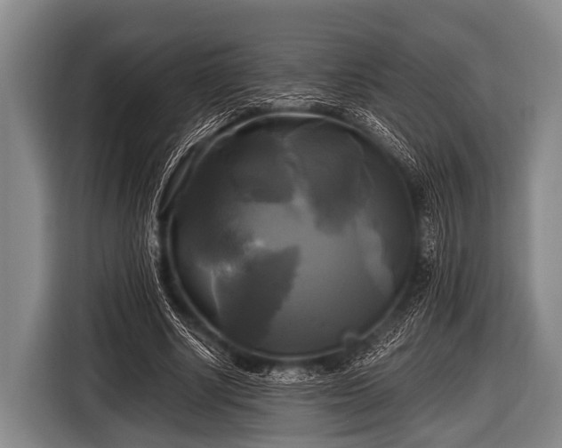 X0000116800634200912241202