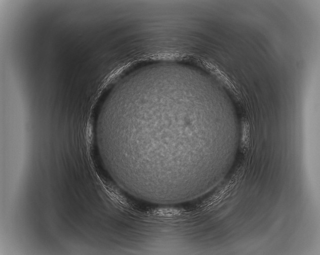 X0000116800636200912241202