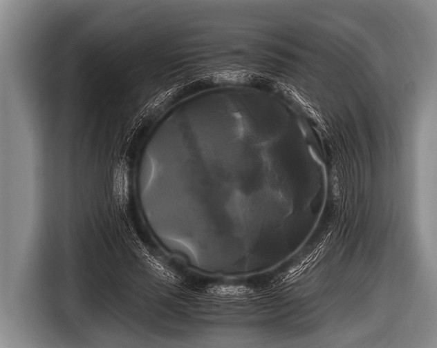 X0000116800637200912241202