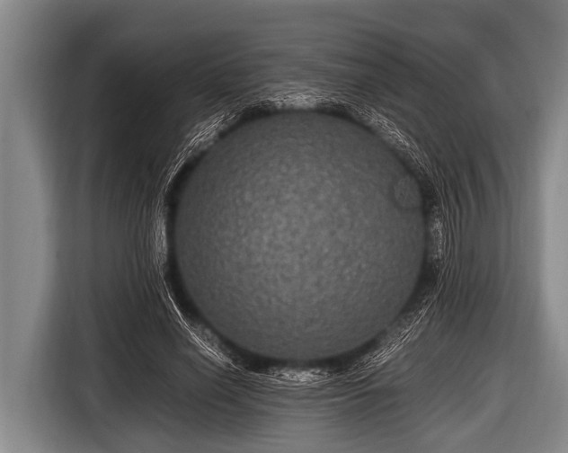 X0000116800638200912241202