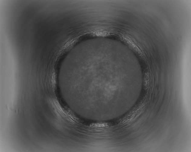 X0000116800639200912241202