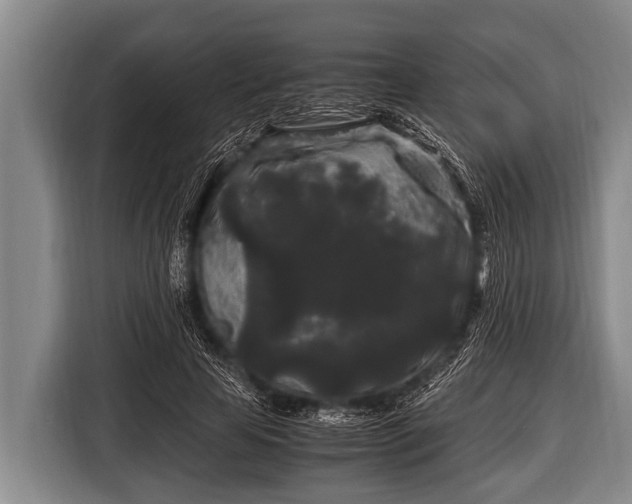 X0000116800641200912241202