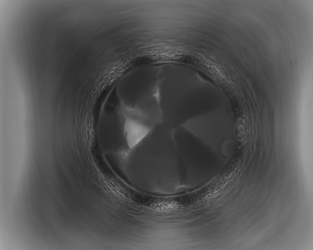 X0000116800642200912241202