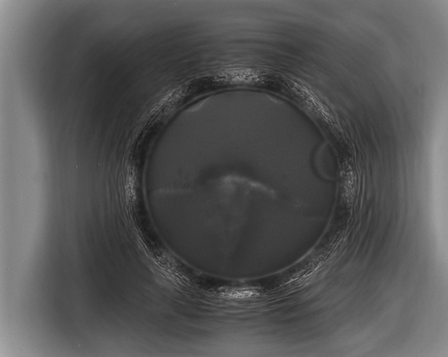 X0000116800643200912241202